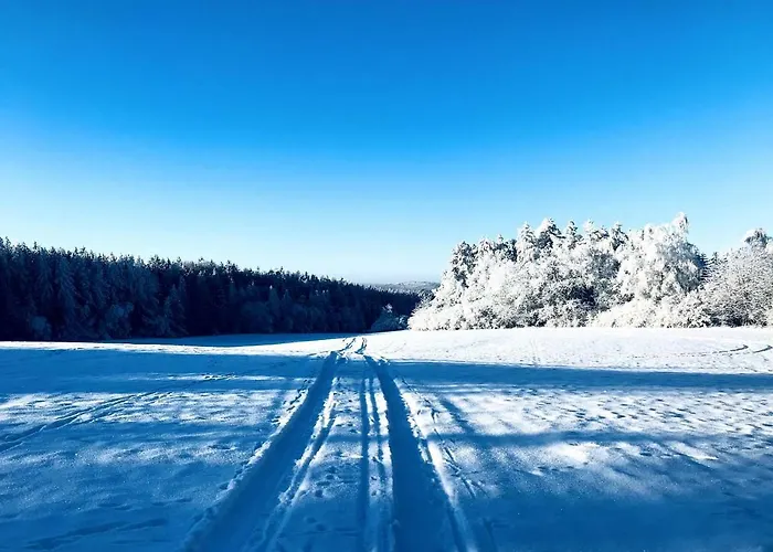 V Brdech S Bazenem, Infra Saunou A Vybavenim * Mala Viska