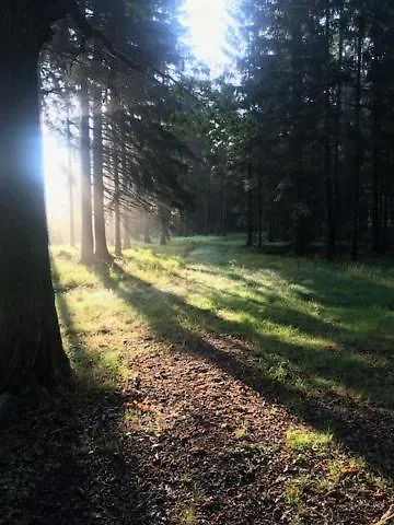 V Brdech S Bazenem, Infra Saunou A Vybavenim