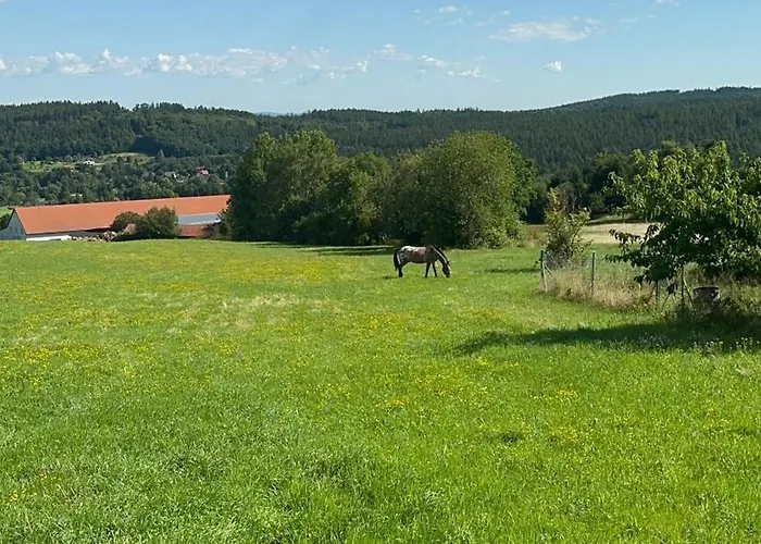 V Brdech S Bazenem, Infra Saunou A Vybavenim *